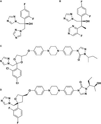 Molecular Dynamics Investigations of Binding Mechanism for Triazoles Inhibitors to CYP51